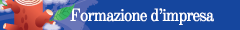 Formazione d'impresa